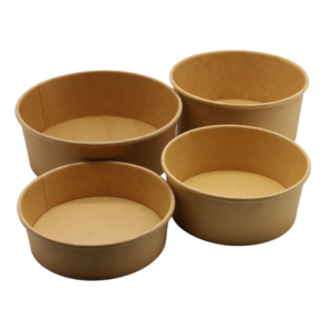 Paper Salad Bowl