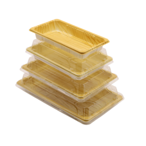 Sushi Container